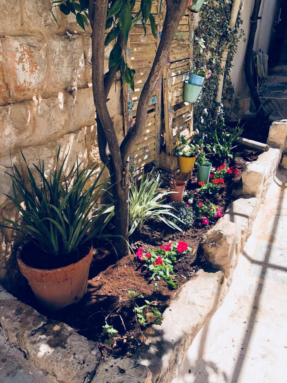 صفد Inn Tzfat المظهر الخارجي الصورة